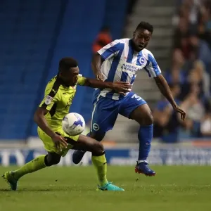 Brighton and Hove Albion vs Rotherham United: EFL Sky Bet Championship Showdown at American Express Community Stadium (August 16, 2016) Brighton and Hove Albion vs Rotherham United: EFL Sky Bet Championship Showdown at American Express Community Stadium (August 16, 2016)
