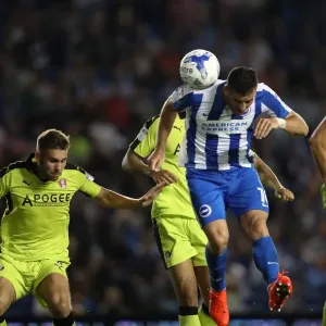 Brighton and Hove Albion vs Rotherham United: EFL Sky Bet Championship Clash at American Express Community Stadium (16th August 2016) Brighton and Hove Albion vs Rotherham United: EFL Sky Bet Championship Clash at American Express Community Stadium (16th August 2016)