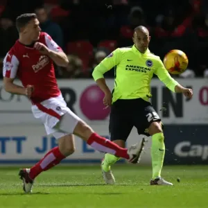 Brighton and Hove Albion vs Rotherham United: Championship Clash at New York Stadium (12JAN16) Brighton and Hove Albion vs Rotherham United: Championship Clash at New York Stadium (12JAN16)