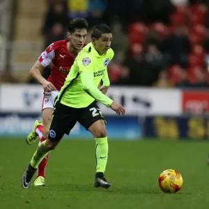 Brighton and Hove Albion vs. Rotherham United: Championship Showdown (12JAN16) Brighton and Hove Albion vs. Rotherham United: Championship Showdown (12JAN16)