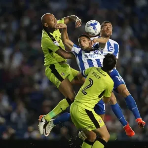 Brighton and Hove Albion vs Rotherham United: Clash in the EFL Sky Bet Championship (16th August 2016) Brighton and Hove Albion vs Rotherham United: Clash in the EFL Sky Bet Championship (16th August 2016)