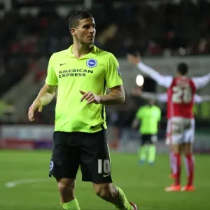 Brighton and Hove Albion vs. Rotherham United: Sky Bet Championship Clash, January 2016 Brighton and Hove Albion vs. Rotherham United: Sky Bet Championship Clash, January 2016