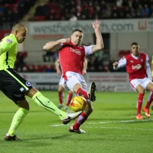 Brighton and Hove Albion vs. Rotherham United: Sky Bet Championship Clash (12JAN16) Brighton and Hove Albion vs. Rotherham United: Sky Bet Championship Clash (12JAN16)