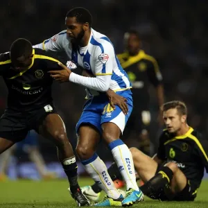 Brighton & Hove Albion vs. Sheffield Wednesday: 1-1 Home Stalemate (2013-14 Season)