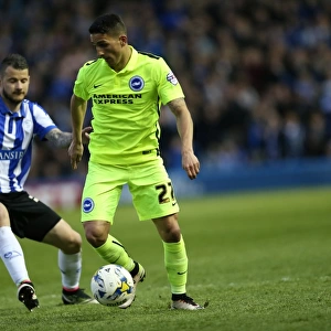 Brighton and Hove Albion vs. Sheffield Wednesday: Championship Play-Off Showdown (May 2016)