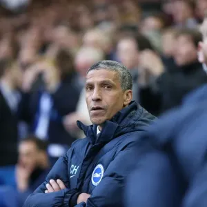 Brighton and Hove Albion vs Sheffield Wednesday: Sky Bet Championship Play-Off Showdown at Hillsborough (May 2016)