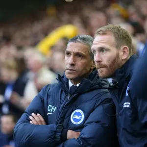 Brighton and Hove Albion vs Sheffield Wednesday: Sky Bet Championship Play-Off Showdown at Hillsborough (May 2016)