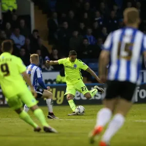 Brighton and Hove Albion vs Sheffield Wednesday: Sky Bet Championship Play-Off Showdown at Hillsborough (May 2016)
