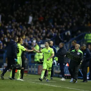 Brighton and Hove Albion vs Sheffield Wednesday: Sky Bet Championship Play-Off Showdown at Hillsborough (May 2016)