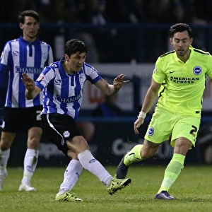 Brighton and Hove Albion vs Sheffield Wednesday: Sky Bet Championship Play-Off Showdown at Hillsborough (May 2016)