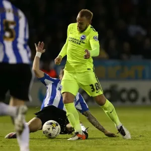 Brighton and Hove Albion vs Sheffield Wednesday: Sky Bet Championship Play-Off Showdown at Hillsborough (May 2016)