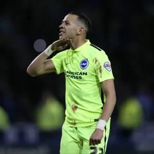 Brighton and Hove Albion vs Sheffield Wednesday: Sky Bet Championship Play-Off Showdown at Hillsborough (May 2016)