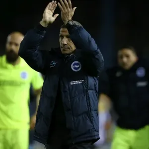 Brighton and Hove Albion vs Sheffield Wednesday: Sky Bet Championship Play-Off Clash at Hillsborough (May 2016)