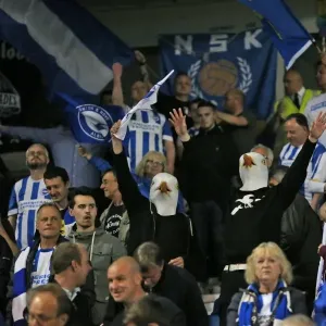 Brighton and Hove Albion vs Sheffield Wednesday: Sky Bet Championship Play-Off Clash at American Express Community Stadium (16 May 2016) Brighton and Hove Albion vs Sheffield Wednesday: Sky Bet Championship Play-Off Clash at American Express Community Stadium (16 May 2016)