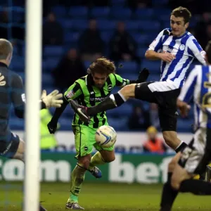 Brighton & Hove Albion vs Sheffield Wednesday: 2012-13 Away Game