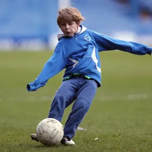 Brighton & Hove Albion vs Sheffield Wednesday: 2012-13 Away Game