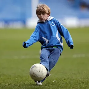 Brighton & Hove Albion vs Sheffield Wednesday: 2012-13 Away Game