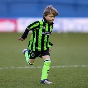Brighton & Hove Albion vs. Sheffield Wednesday: 2012-13 Away Game