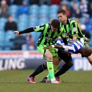 Brighton & Hove Albion vs Sheffield Wednesday: 2012-13 Away Game