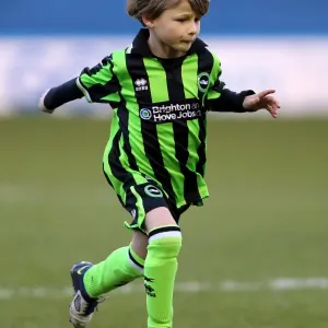 Brighton & Hove Albion vs. Sheffield Wednesday: 2012-13 Season - Away Game