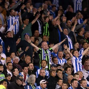 Brighton & Hove Albion vs. Sheffield Wednesday (2012-13 Season) - A Past Home Game Brighton & Hove Albion vs. Sheffield Wednesday (2012-13 Season) - A Past Home Game