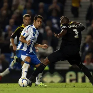 Brighton & Hove Albion vs. Sheffield Wednesday (2013-10-01) - Home Game from the 2013-14 Season