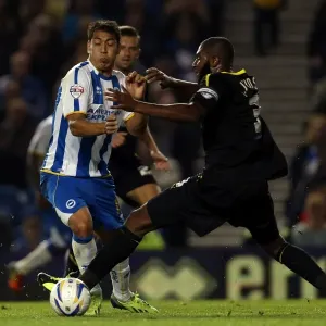Brighton & Hove Albion vs. Sheffield Wednesday (2013-10-01) - A Home Game from the 2013-14 Season