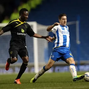 Brighton & Hove Albion vs. Sheffield Wednesday (2013-10-01) - Home Game from the 2013-14 Season