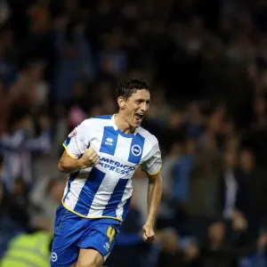 Brighton & Hove Albion vs. Sheffield Wednesday (2013-10-01) - Home Game, 2013-14 Season