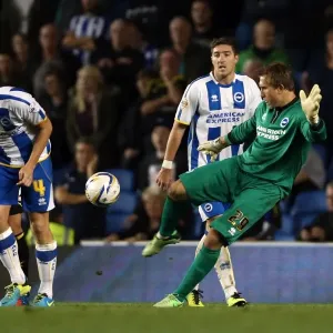 Brighton & Hove Albion vs. Sheffield Wednesday (2013-10-01) - Home Game, 2013-14 Season