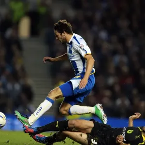 Brighton & Hove Albion vs. Sheffield Wednesday (2013-10-01) - Home Game, 2013-14 Season
