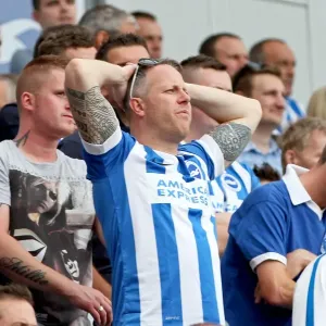 Brighton & Hove Albion vs. Sheffield Wednesday: 2014-15 Season Home Game