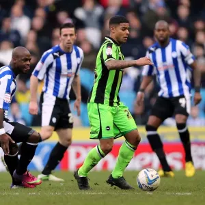 Brighton & Hove Albion vs. Sheffield Wednesday (Away) - 02-02-2013: 2012-13 Season