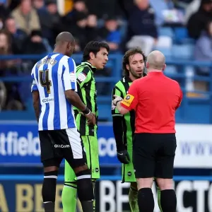 Brighton & Hove Albion vs Sheffield Wednesday (Away): 02-02-2013 - 2012-13 Season