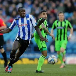 Brighton & Hove Albion vs Sheffield Wednesday (Away) - 02-02-2013: 2012-13 Season - Sheffield Wednesday Game