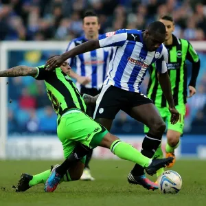 Brighton & Hove Albion vs. Sheffield Wednesday (Away) - 02-02-2013: Season 2012-13