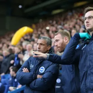 Brighton and Hove Albion vs. Sheffield Wednesday: Championship Play-Off Clash at Hillsborough (May 2016)