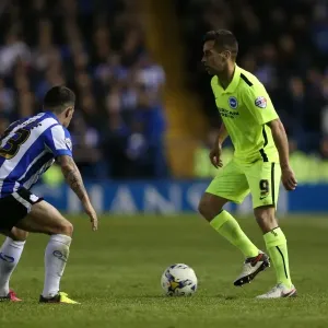 Brighton and Hove Albion vs. Sheffield Wednesday: Championship Play-Off Clash at Hillsborough (May 2016)
