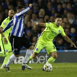 Brighton and Hove Albion vs. Sheffield Wednesday: Championship Play-Off Clash at Hillsborough (May 2016)