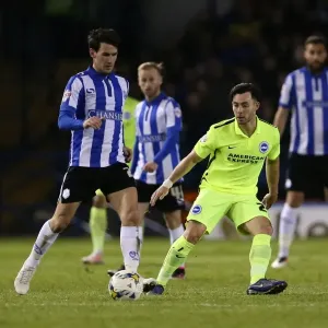 Brighton and Hove Albion vs. Sheffield Wednesday: Championship Play-Off Clash at Hillsborough (May 2016)