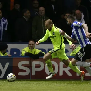 Brighton and Hove Albion vs. Sheffield Wednesday: Championship Play-Off Clash at Hillsborough (May 2016)