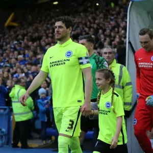 Brighton and Hove Albion vs. Sheffield Wednesday: Championship Play-Off Showdown (May 2016)