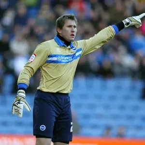 Brighton & Hove Albion vs. Sheffield Wednesday: A Fight for Victory (February 2, 2013) - 2012-13 Season: Away Game Highlights