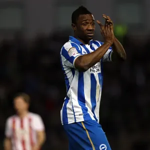 Brighton & Hove Albion vs Southampton (02-01-12): A Glance at Our 2011-12 Home Season Brighton & Hove Albion vs Southampton (02-01-12): A Glance at Our 2011-12 Home Season