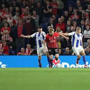 Brighton and Hove Albion vs. Southampton: Carabao Cup Showdown at American Express Community Stadium (28.08.18)