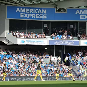 Brighton and Hove Albion vs. Southampton: Premier League Showdown at American Express Community Stadium (24Aug19)
