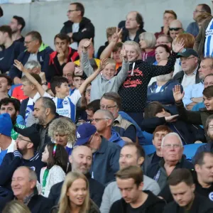 Brighton and Hove Albion vs Southampton: Carabao Cup Showdown at American Express Community Stadium (28.08.18) Brighton and Hove Albion vs Southampton: Carabao Cup Showdown at American Express Community Stadium (28.08.18)