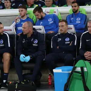 Brighton and Hove Albion vs Southampton: Carabao Cup Showdown at American Express Community Stadium (28.08.18) Brighton and Hove Albion vs Southampton: Carabao Cup Showdown at American Express Community Stadium (28.08.18)