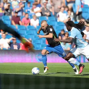 Brighton and Hove Albion vs. SS Lazio: Pre-season Clash at American Express Community Stadium (July 31, 2016) Brighton and Hove Albion vs. SS Lazio: Pre-season Clash at American Express Community Stadium (July 31, 2016)