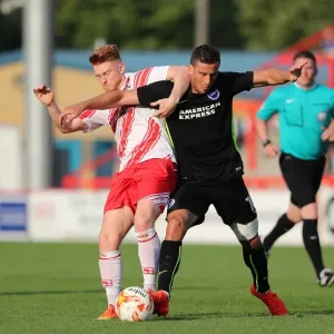 Brighton and Hove Albion vs. Stevenage: Pre-Season Clash at The Lamex Stadium (23JUL16) Brighton and Hove Albion vs. Stevenage: Pre-Season Clash at The Lamex Stadium (23JUL16)